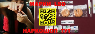 2c-b Кингисепп